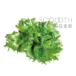 香波绿莴苣