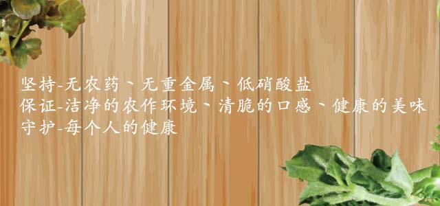 蔬食乐, 蔬菜, 科技蔬菜, 坚持, 保证, 守护